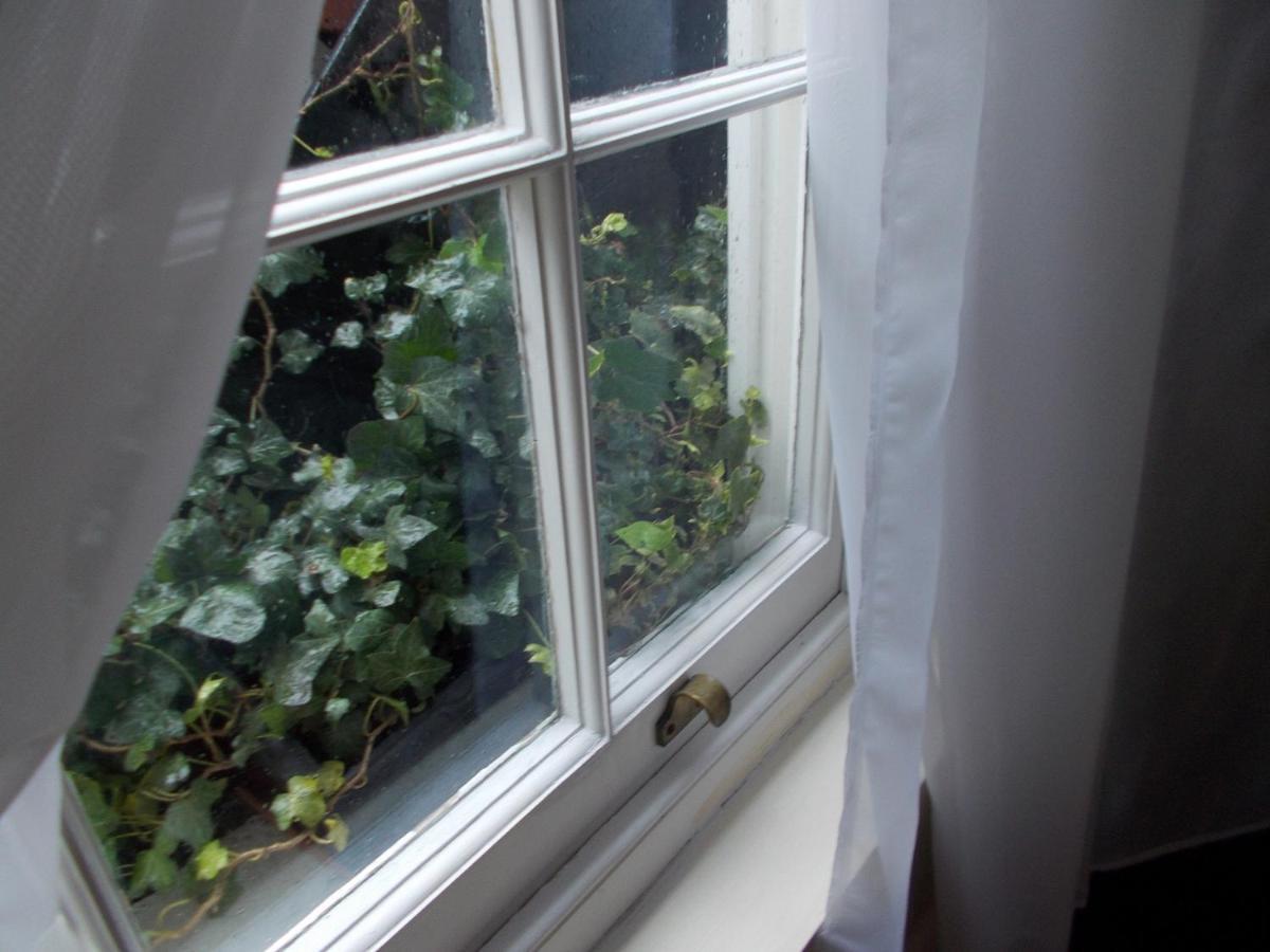Double Room With Private Bathroom In Flat London Centre Eksteriør billede